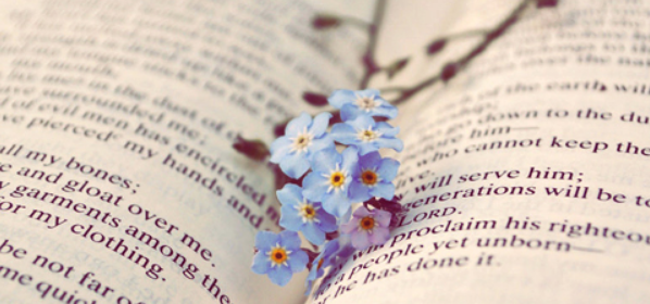 sciՓһ?jn)?sh)