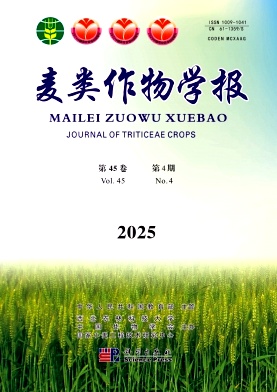 W(xu)(bo)