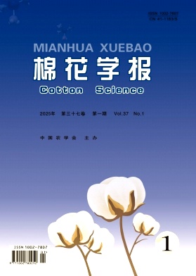 ޻W(xu)