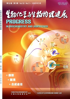 ﻯW(xu)cM(jn)չ